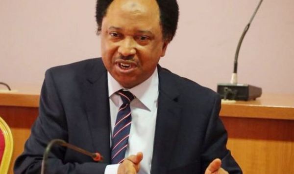 Pump price increase: This is the energy and economic reality we have to live with until manna comes or a miracle happens - Shehu Sani 1