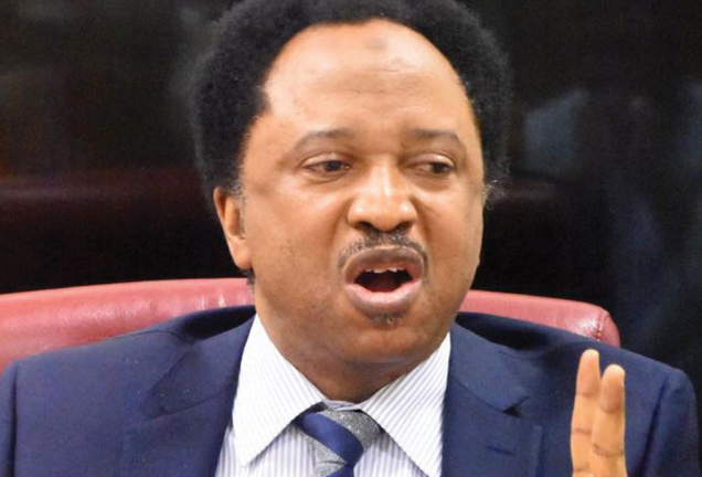 Banks are hoarding new currency so Politicians can buy votes with it next month - Shehu Sani 1