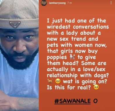 "What is going on?" Harrysong asks as he reveals he just discovered women now buy dogs for oral sex 4