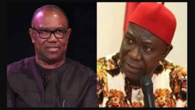 Photo of “My family & I are with the Ekweremadus…I commit them to God’s hand for justice to be done” – Peter Obi reacts to the arrest of Ike Ekweremadu over alleged organ harvesting