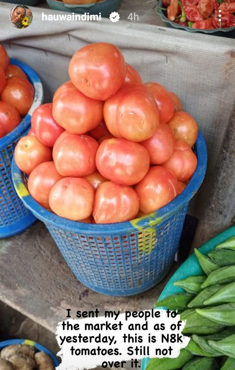 I'm still in disbelief - Billionaire's daughter, Hauwa Indimi shares photo of tomatoes purchased for N8,000 4