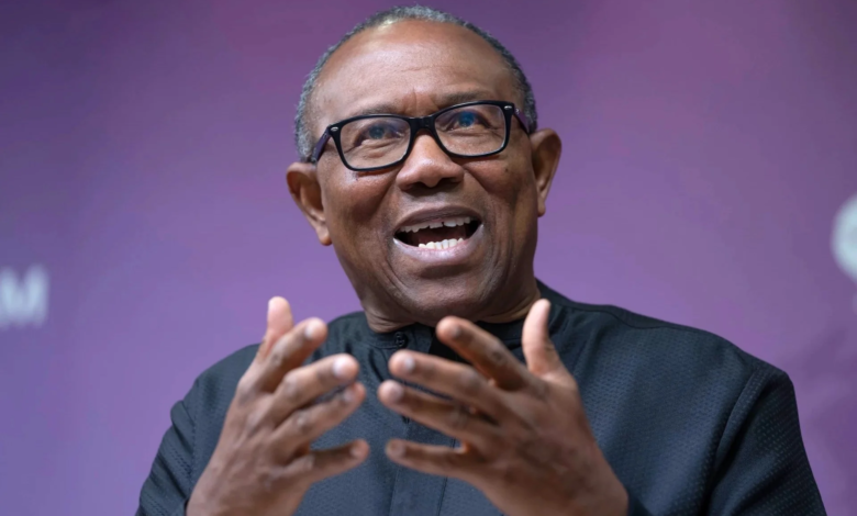 2027: No merger deal with PDP, NNPP yet - Peter Obi 1