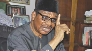 Photo of The Government should have waited before removing subsidy. We are in it already, we are in competent hands and we will get out of it – Former Buhari Adviser, Prof Sagay