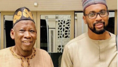 Photo of Tinubu appoints Ganduje’s son as Executive Director, Technical Services at REA