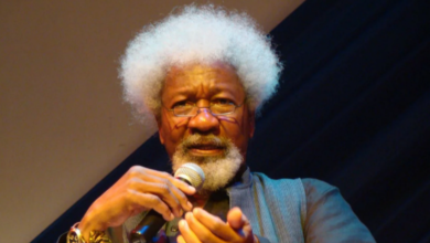 Photo of I hope Peter Obi does not express interest in the next election – Wole Soyinka