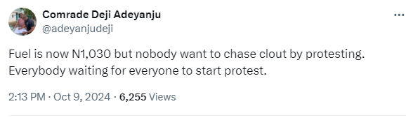 Fuel Hike: Everybody waiting for everyone to start protest - Adeyanju slams Nigerians 4