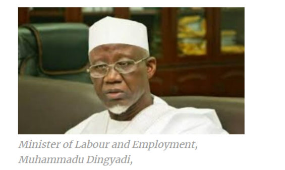 Providing jobs not part of my ministry’s responsibility - Labour minister, Dingyadi tells Nigerians 1