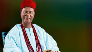 Photo of Stop milking the country, it will die – Obi of Onitsha warns Politicians