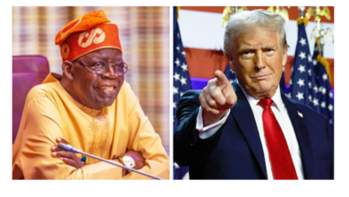 Photo of Avoid confrontation with Trump, there is nothing a bully likes better than taking on people who are not strong enough to resist him – Former Minister of Foreign Affairs, Bolaji Akinyemi tells President Tinubu