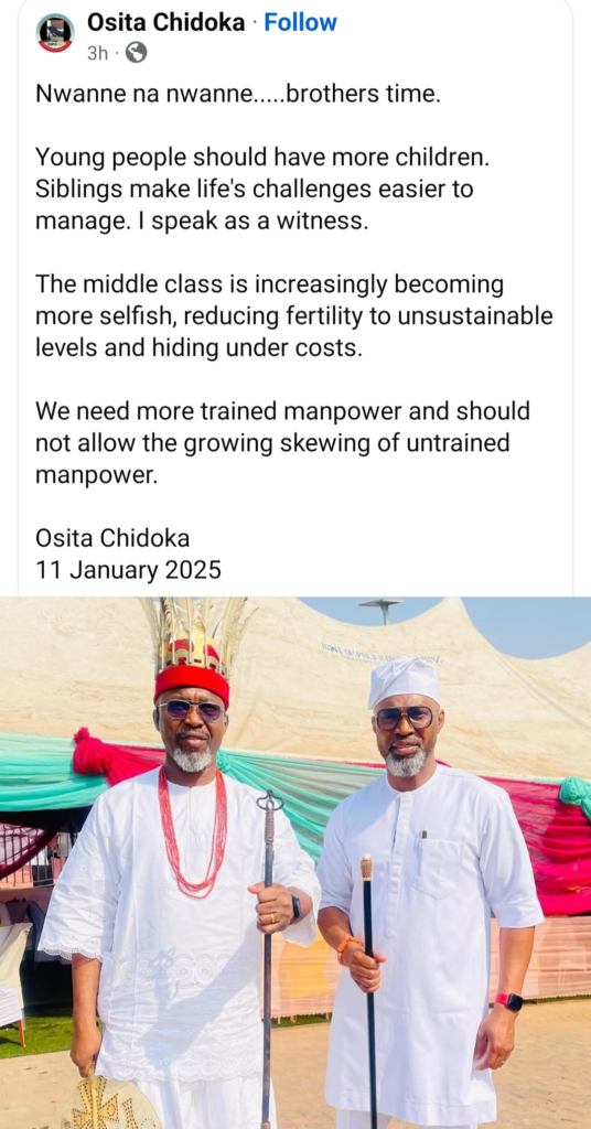 "The middle class is becoming more selfish, reducing fertility to unsustainable levels" Former Aviation Minister, Osita Chidoka encourages people to have more children 4