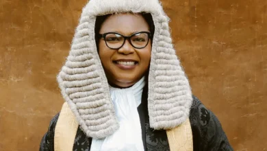 Photo of 2025 UTME: Impossible to attribute 60% failure to lack of intelligence among students – Ezeilo