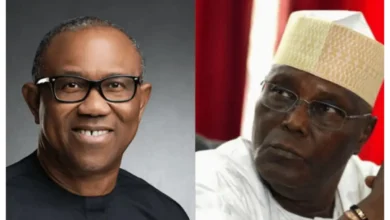 Photo of Don’t fall prey to president Tinubu, bring Peter Obi back – Sowunmi tells PDP