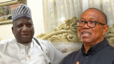 Photo of Peter Obi: It would be hard for Northerners to believe his single-term proposal – IPAC chairman, Yabagi Sani