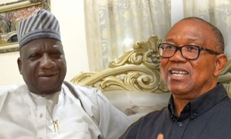 Photo of Peter Obi: It would be hard for Northerners to believe his single-term proposal – IPAC chairman, Yabagi Sani