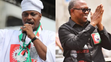 Photo of Peter Obi and I are aligned – Gbadebo Rhodes-Vivour joins ADC