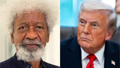 Photo of US Revokes Wole Soyinka’s Visa Under Trump Administration