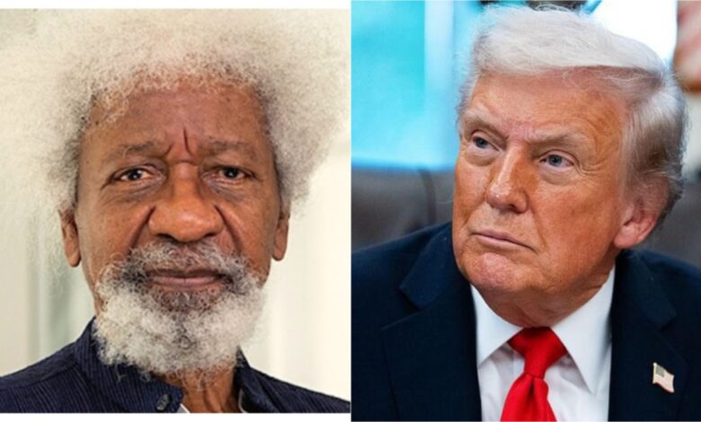Photo of US Revokes Wole Soyinka’s Visa Under Trump Administration