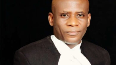 Photo of Arrest Terror Sponsors, Heed Trump’s Warning – SAN, Kunle Edun tells FG