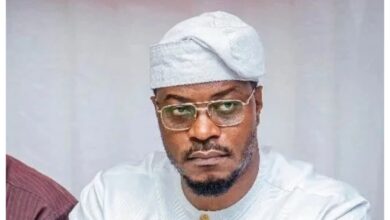 Photo of License firearms if you can’t sit up – Rhodes-Vivour tells FG