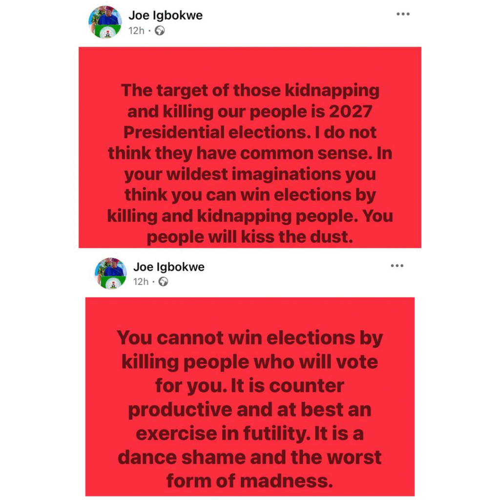 The target of those killing and kidnapping our people is the 2027 presidential election - Joe Igbokwe 4 The target of those killing and kidnapping our people is the 2027 presidential election - Joe Igbokwe 4