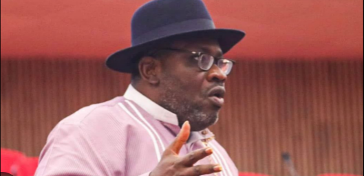 Photo of Insecurity: ‘Let’s tell President Tinubu the truth’- Senator Seriake Dickson tackles colleagues for commending President Tinubu despite abductions