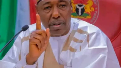 Borno state spent N100 billion funding security operations - Gov. Zulum 4 Photo of Borno state spent N100 billion funding security operations – Gov. Zulum