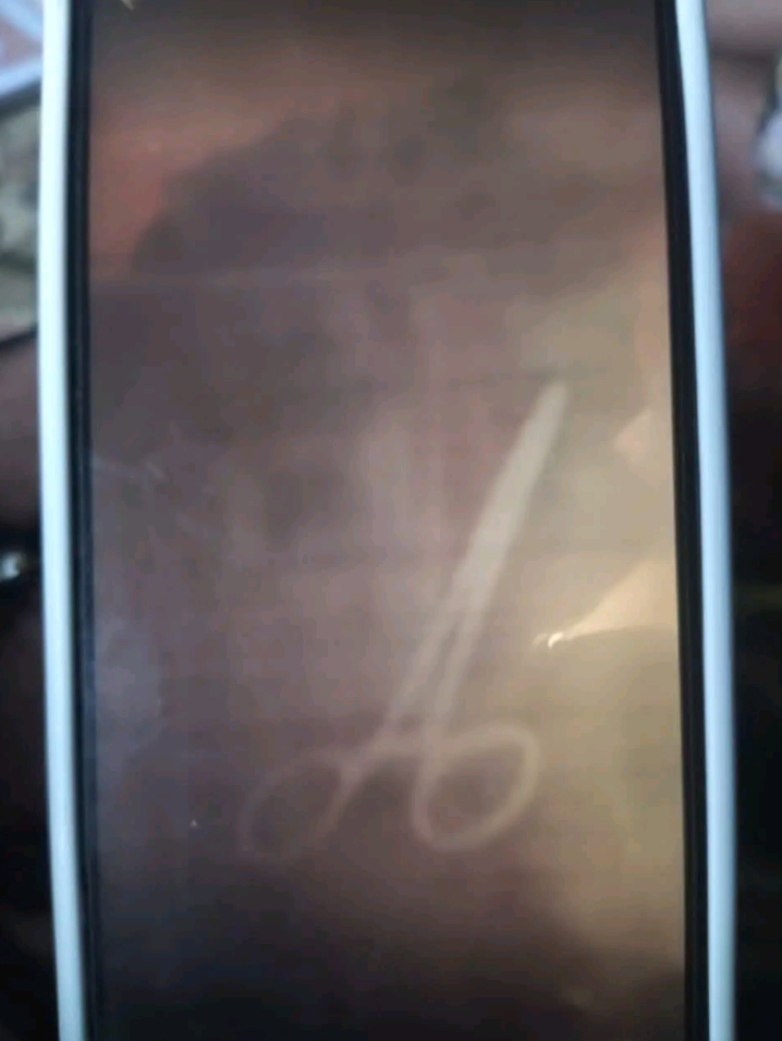 Woman Dies After Kano Hospital Abandoned Scissors In Her During Surgery As Family Demands Justice 4