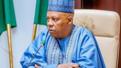 Photo of 2027: Replacing Shettima will jeopardize Tinubu’s reelection – APC chieftain warns