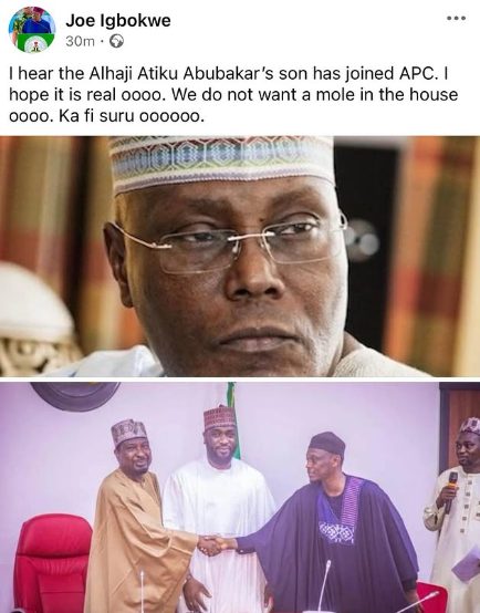 ''We do not want a mole in the house ooo'' - APC chieftain, Joe Igbokwe, reacts to Atiku’s son defecting to APC 4
