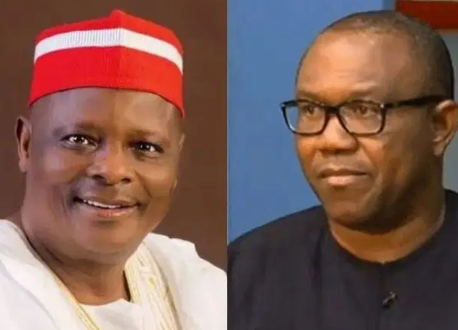 2027: Pro-Tinubu Igbo Group dismisses Obi–Kwankwaso alliance as non-threat 1