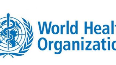Photo of WHO Dismisses Pandemic Fears Over Deadly Cruise Ship Hantavirus Outbreak