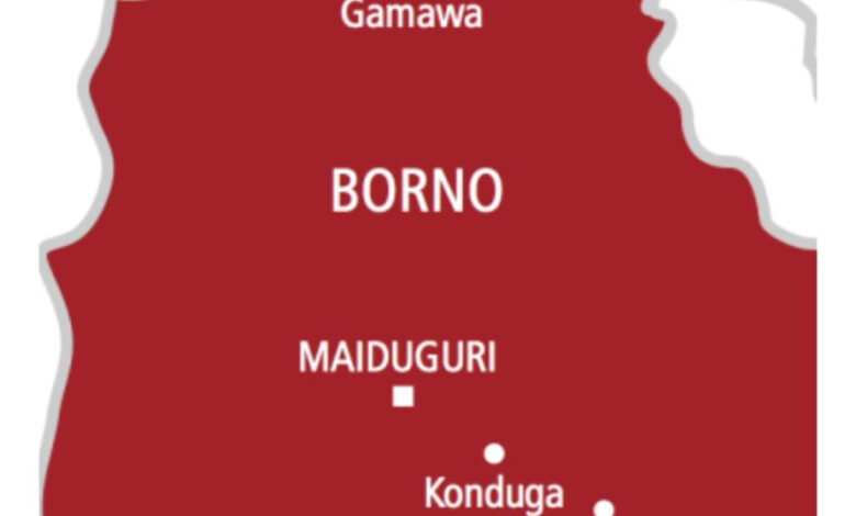 Six terrorists die in own bomb explosion in Borno 1