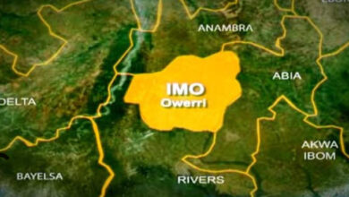 Student Beheaded in Imo State: Police Launch Investigation 6 Photo of Student Beheaded in Imo State: Police Launch Investigation