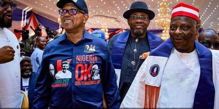 NDC Stirs Controversy by Exempting Obi and Kwankwaso from Anti-Defection Oath 1