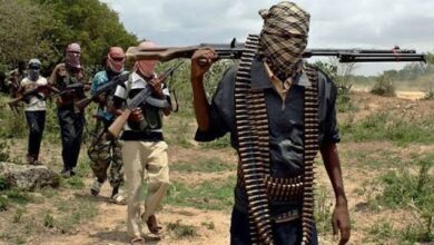 Photo of Tragedy in Borno: Terrorists Abduct Students During Exam