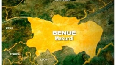 Newborn baby found abandoned inside carton in Benue community 6 Photo of Newborn baby found abandoned inside carton in Benue community