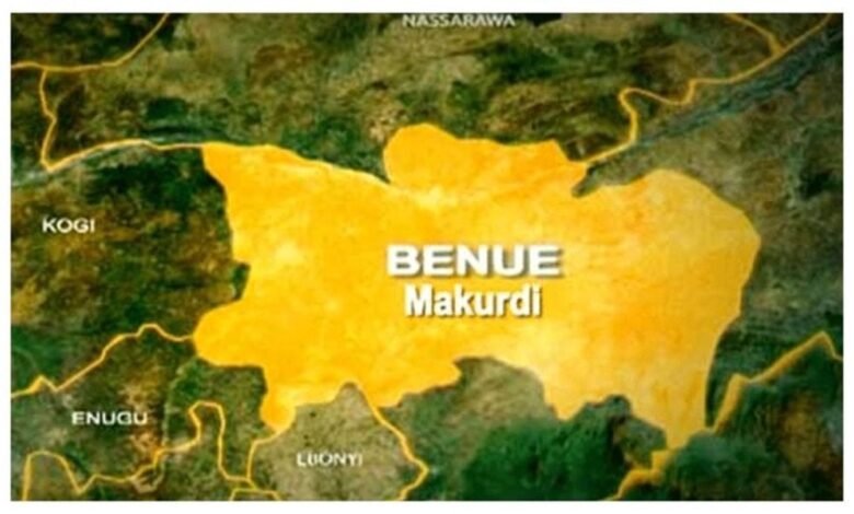 Newborn baby found abandoned inside carton in Benue community 1 Newborn baby found abandoned inside carton in Benue community 1