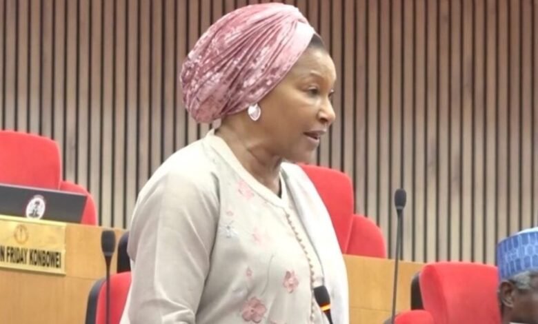 I can’t be intimidated – Senator Kingibe fires back at Wike 1