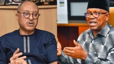 2027: ‘I’ll walk away if Obi accepts VP slot’ — Pat Utomi 6 Photo of 2027: ‘I’ll walk away if Obi accepts VP slot’ — Pat Utomi