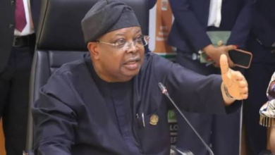 Electricity: ‘Nigerians tell me to slow down the work I am doing, freezers are now freezing’ — Power minister 6 Photo of Electricity: ‘Nigerians tell me to slow down the work I am doing, freezers are now freezing’ — Power minister
