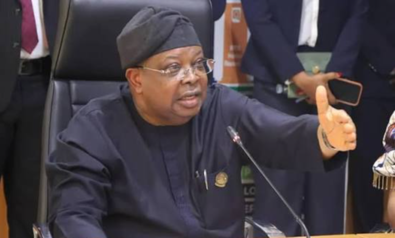 Electricity: ‘Nigerians tell me to slow down the work I am doing, freezers are now freezing’ — Power minister 1